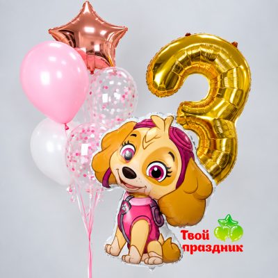 Набор шаров с героем мультфильма «Щенячий Патруль» -  «Воздушная миссия»