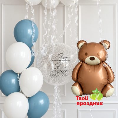 Набор шаров на выписку "Плюшевый друг"